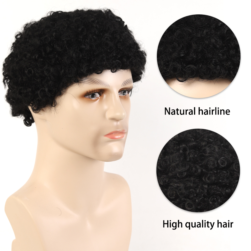 Synthetic Men's Short Curly Ha - огляд і ціна Synthetic Wigs